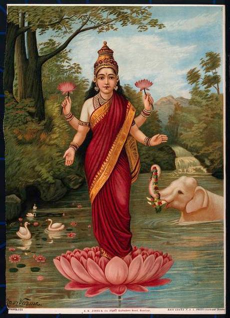 10SM-Lakshmionherlotus